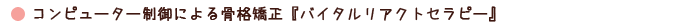 Rs[^[ɂ鍜iwoC^ANgZs[x